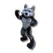 Holiday Mascot