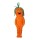 Vegetable and Fruit Mascot