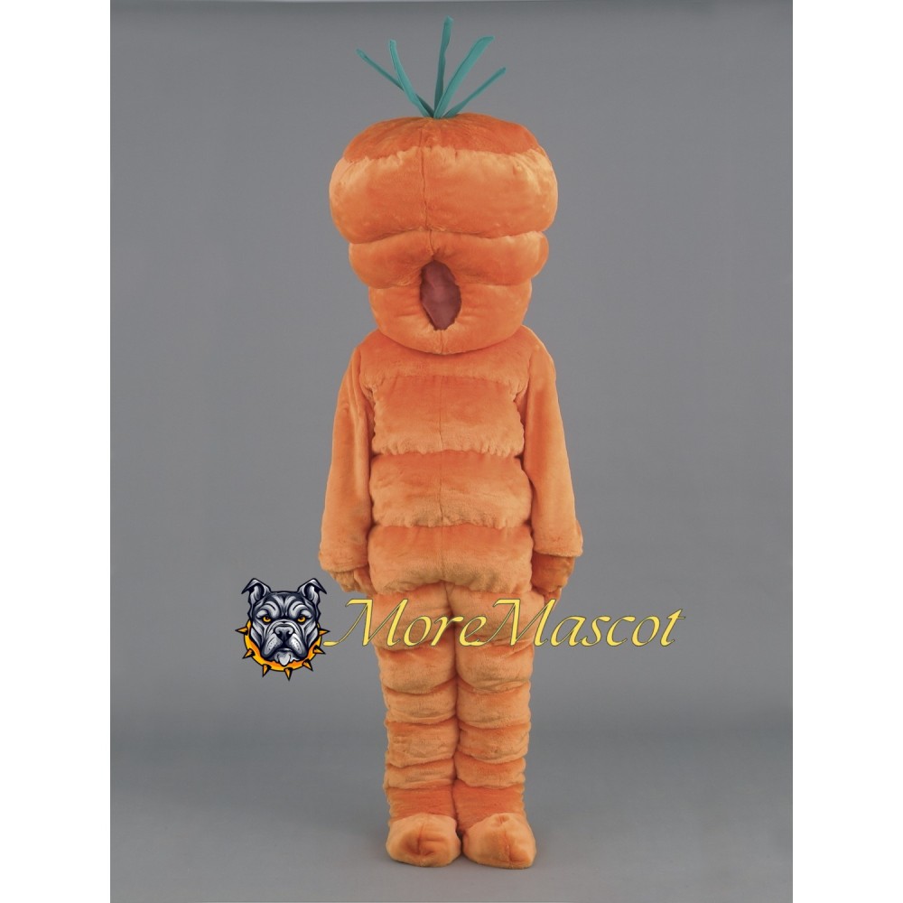 Carrot Mascot Costume