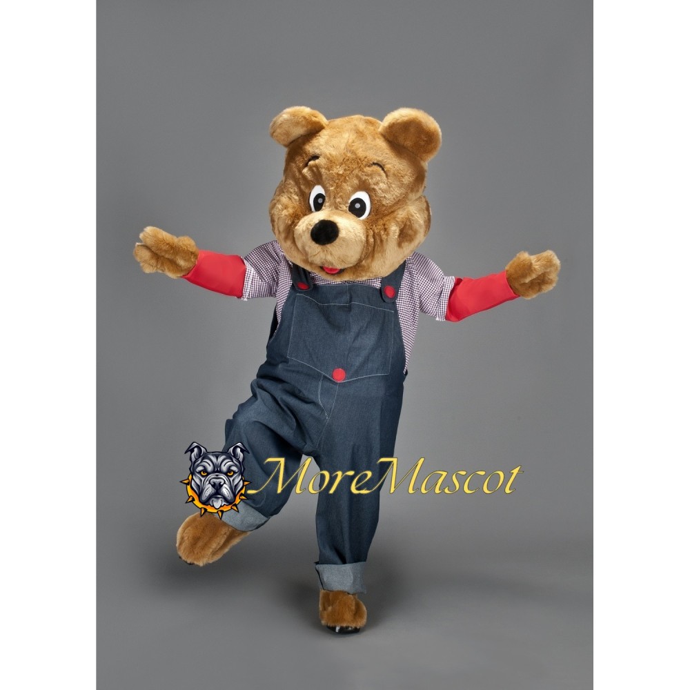 Brown Bear Boy Mascot Costume