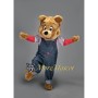 Brown Bear Boy Mascot Costume