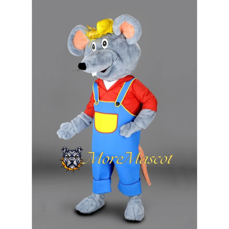 Mouse Boy Mascot Costume