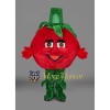 Tomato Mascot Costume