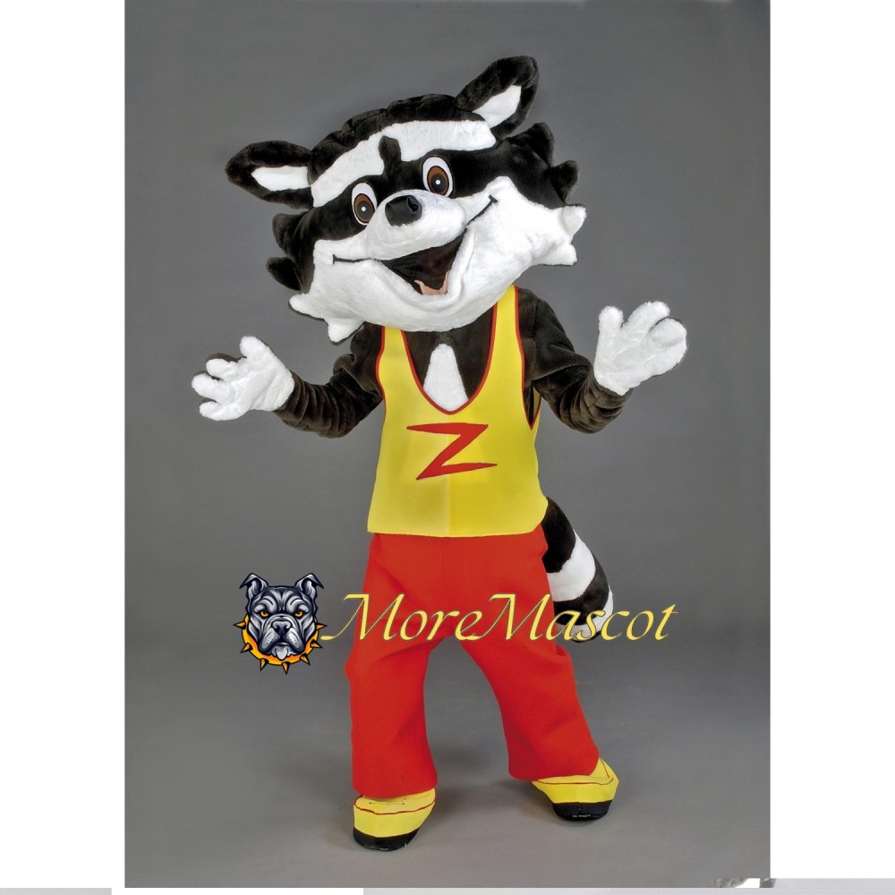 Cute Raccoon Mascot Costume