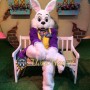 Purple Wendell Rabbit Mascot Costume
