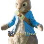 Peter Rabbit Mascot Costume