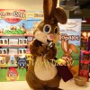 Brown Rabbit Mascot Costume