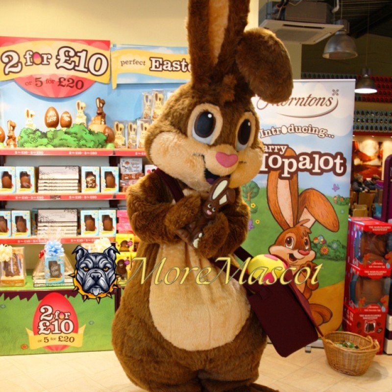 Brown Rabbit Mascot Costume