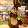 Brown Rabbit Mascot Costume