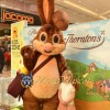 Easter Brown Rabbit Mascot Costume