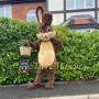 Cute Easter Rabbit Mascot Costume
