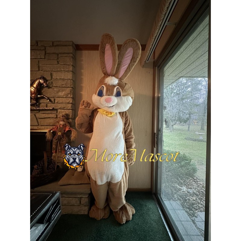 Lovely Easter Rabbit Mascot Costume