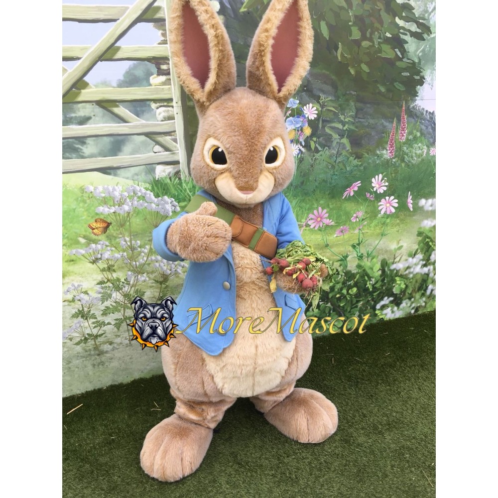 Friendly Peter Rabbit Mascot Costume