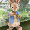 Friendly Peter Rabbit Mascot Costume