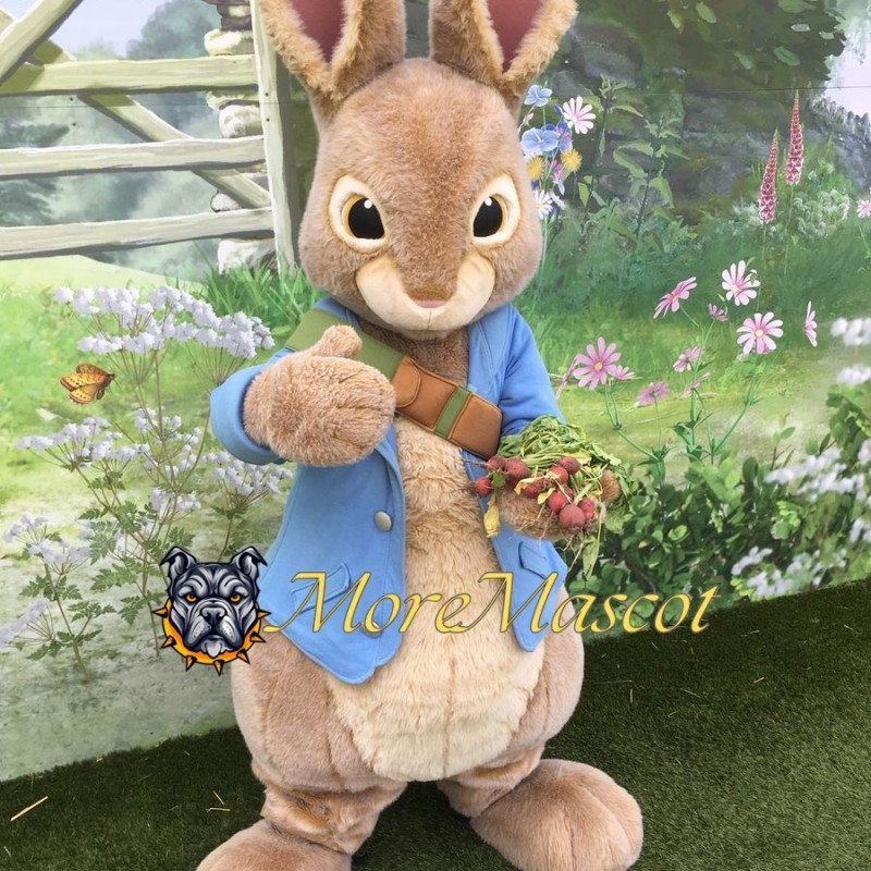 Friendly Peter Rabbit Mascot Costume