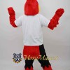 Sport Red Bird Mascot Costume