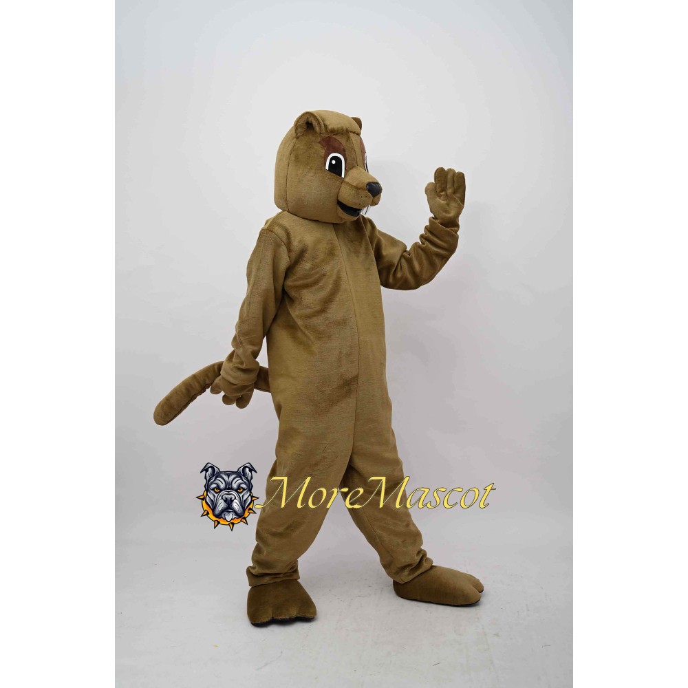 Squirrel Mascot Costume