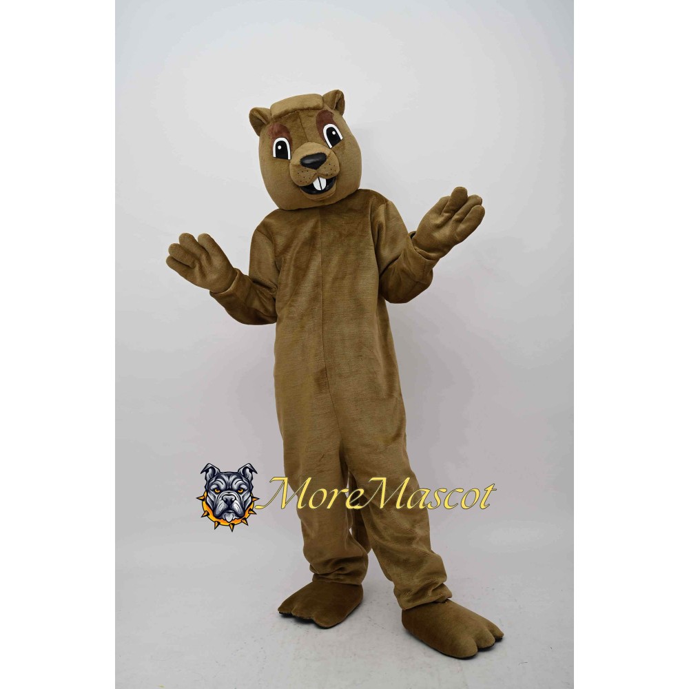Squirrel Mascot Costume