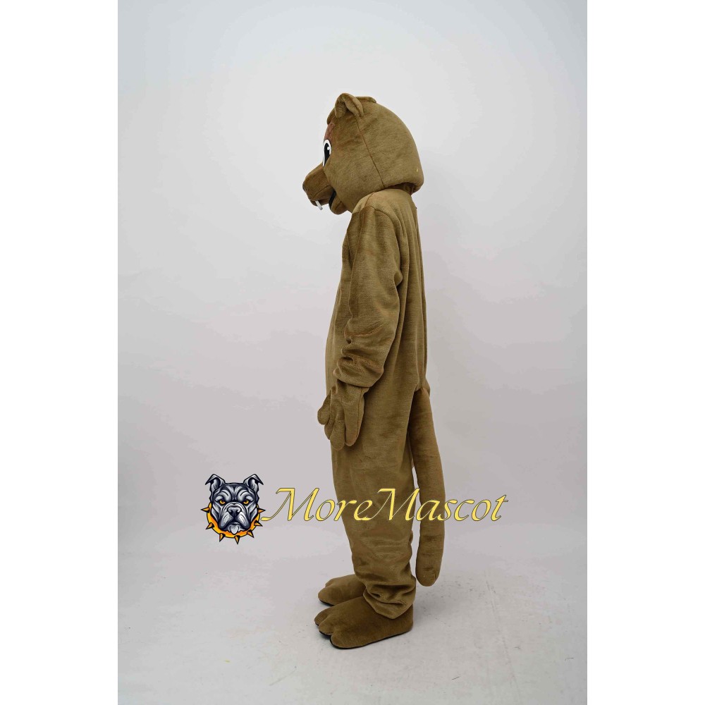 Squirrel Mascot Costume