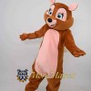 Cute Squirrel Mascot Costume