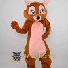 Cute Squirrel Mascot Costume