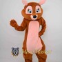 Cute Squirrel Mascot Costume