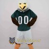 Sports Eagle Mascot Costume