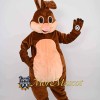 Friendly Rabbit Mascot Costume