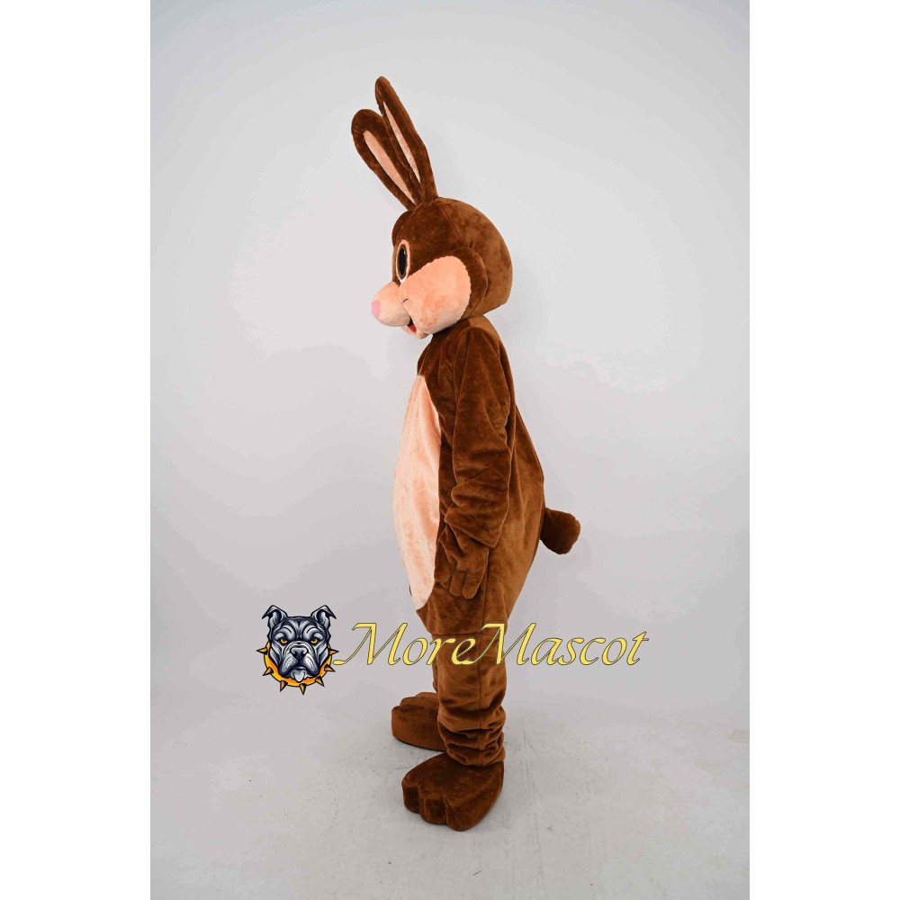 Friendly Rabbit Mascot Costume