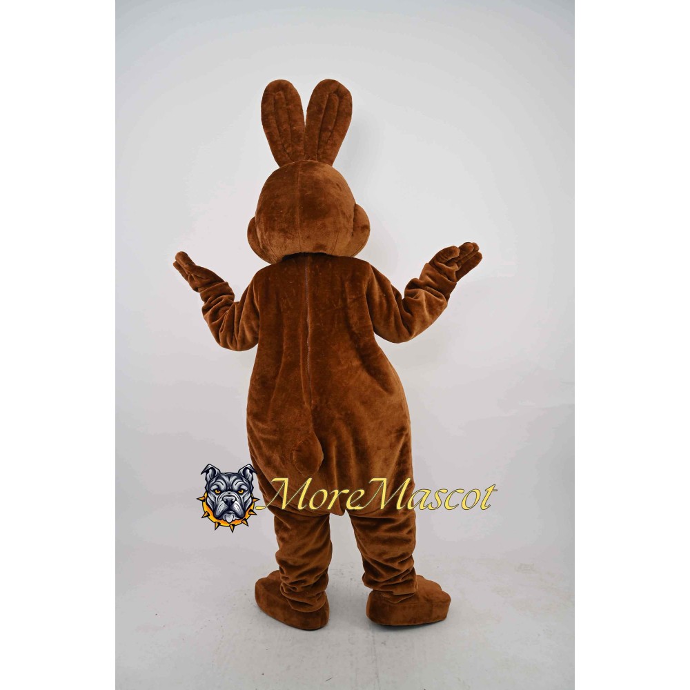 Friendly Rabbit Mascot Costume