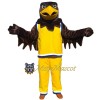 Basketball Falcon Mascot Costume