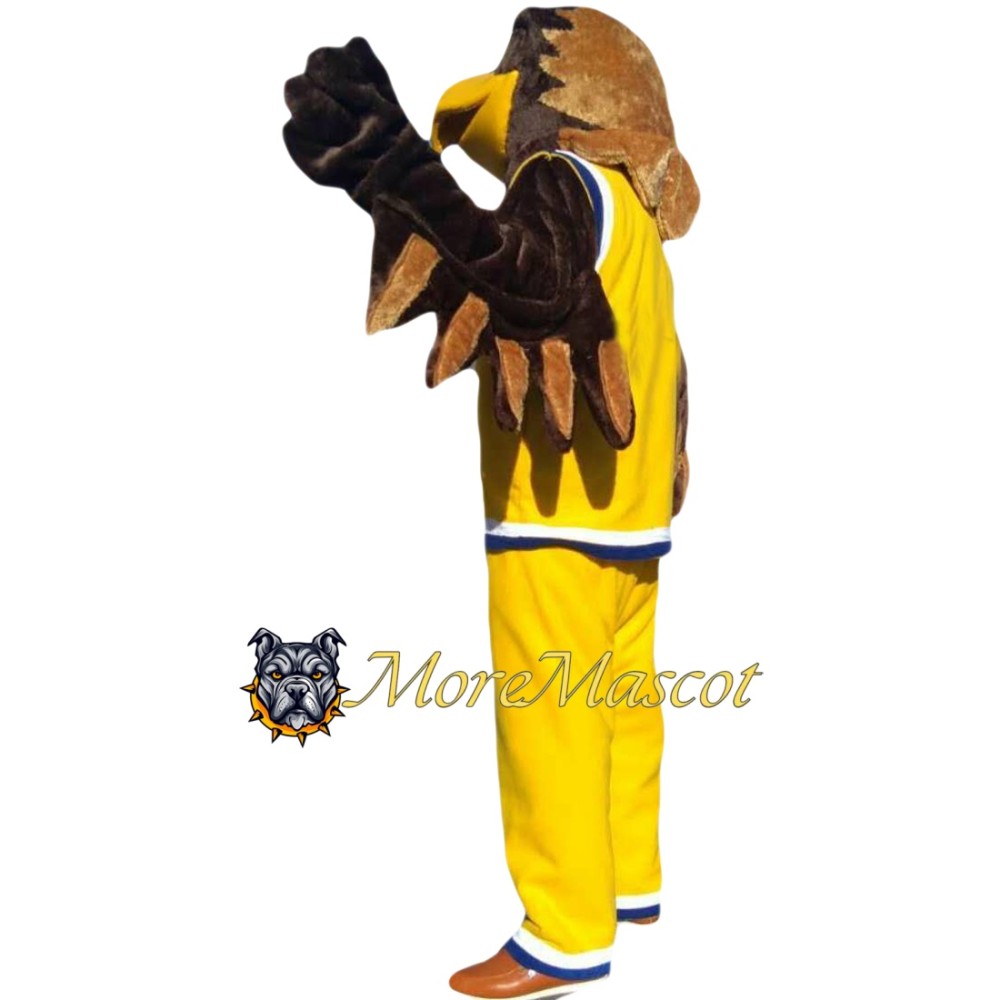 Basketball Falcon Mascot Costume