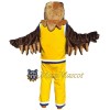 Basketball Falcon Mascot Costume