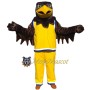 Basketball Falcon Mascot Costume