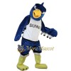 School Team Falcon Mascot Costume