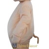 Lovely Pig Mascot Costume