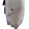 Tooth and Toothbrush Mascot Costume