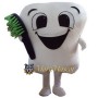 Tooth and Toothbrush Mascot Costume