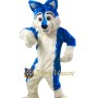 Blue & White Husky Mascot Costume