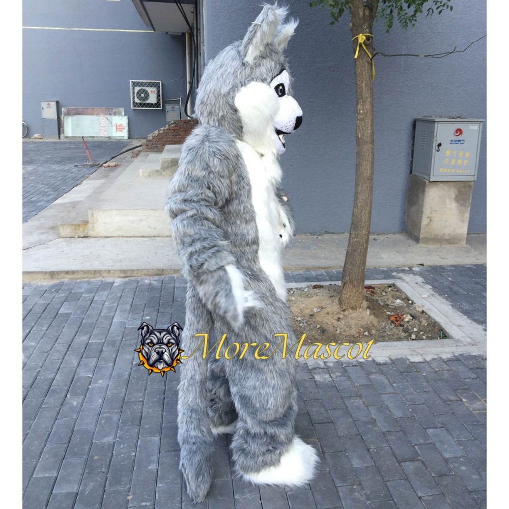 Superb Husky Mascot Costume
