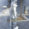 Superb Husky Mascot Costume