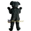 Cute Koala Mascot Costume