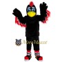 Sport Adult Bird Mascot Costume