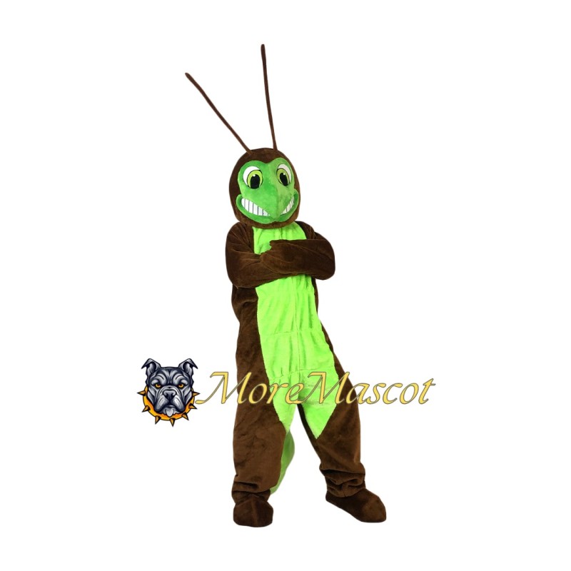 Cricket Mascot Costume