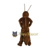 Cricket Mascot Costume
