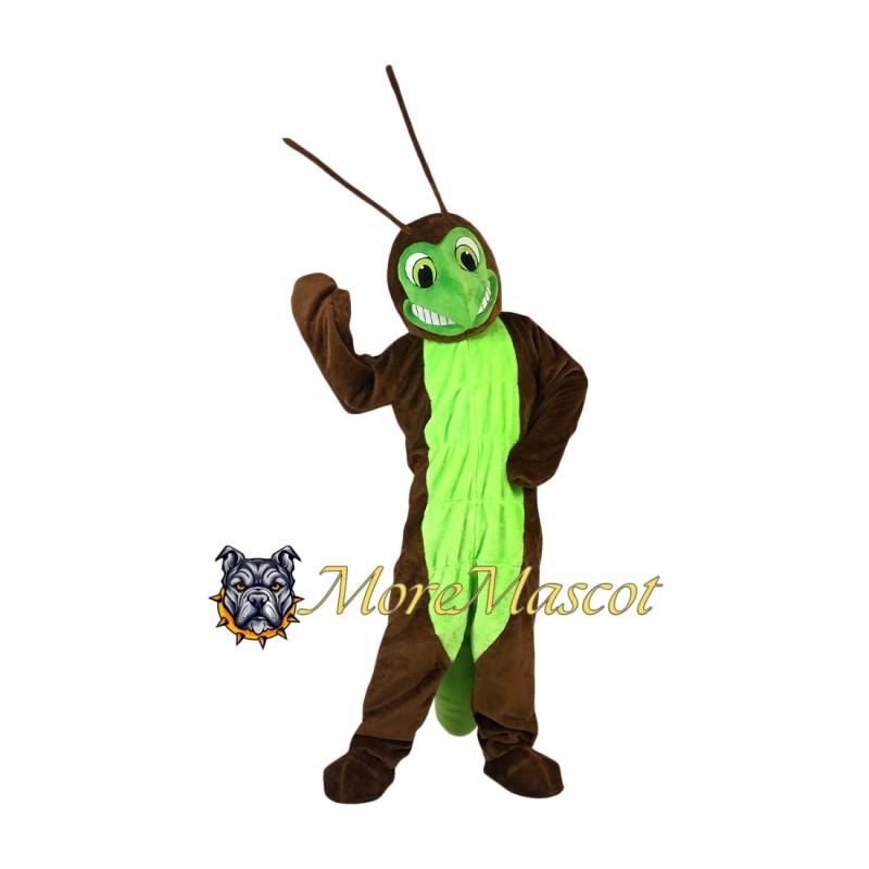 Cricket Mascot Costume