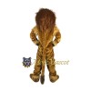 Superb Muscle Lion Mascot Costume