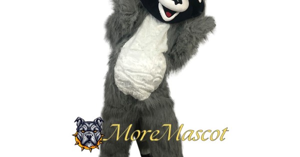 Superb Raccoon Mascot Costume - moremascot101182