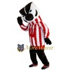 Sport Badger Mascot Costume