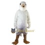 Soft Pigeon Mascot Costume